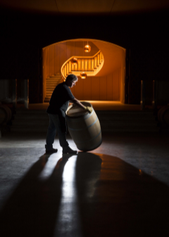 To raise awareness among professionals and wine lovers worldwide, the Union is developing a series of major international events in Europe, North America and throughout Asia. 
