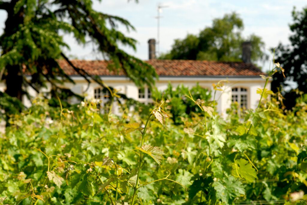 Château Poujeaux — 2
