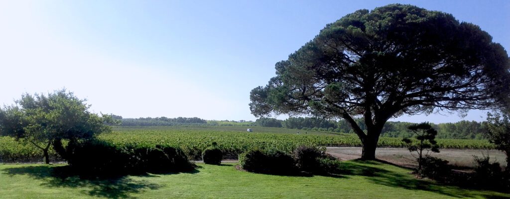 Château de Camensac — 2