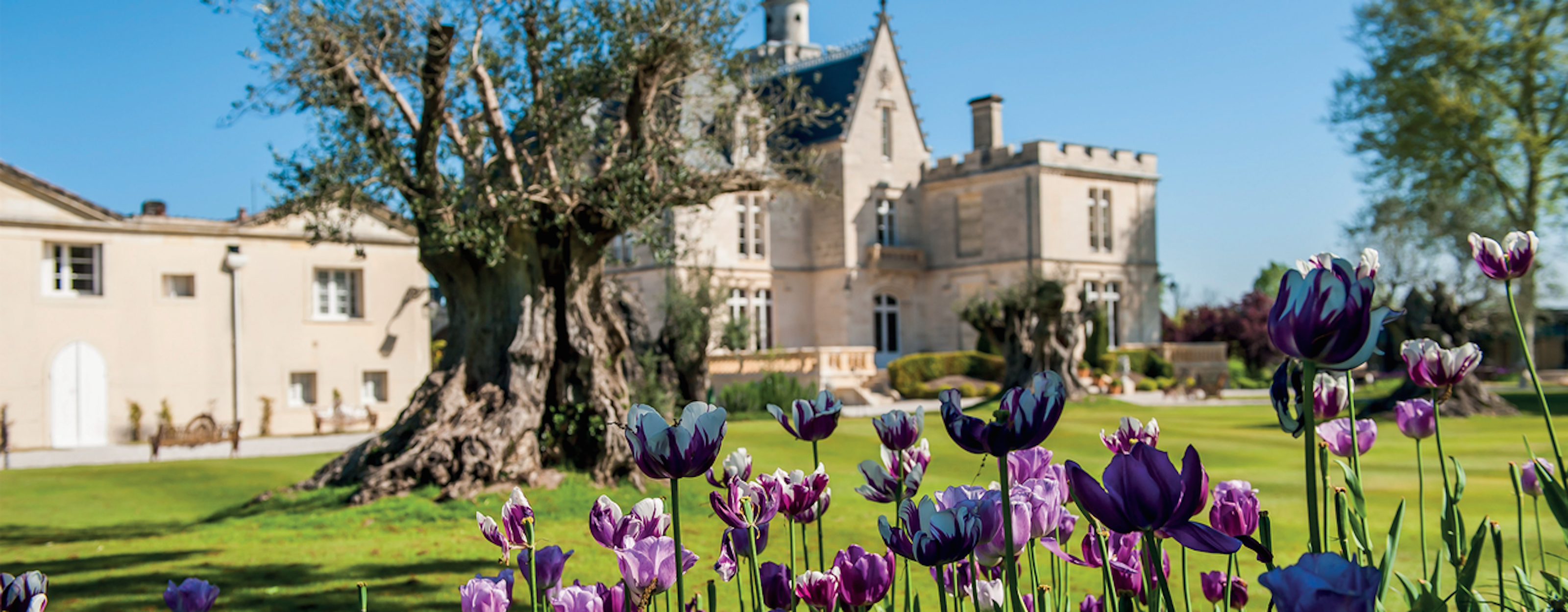 Château Pape Clément
