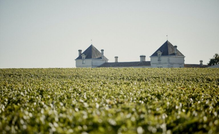 CHATEAU_DE_PEZ