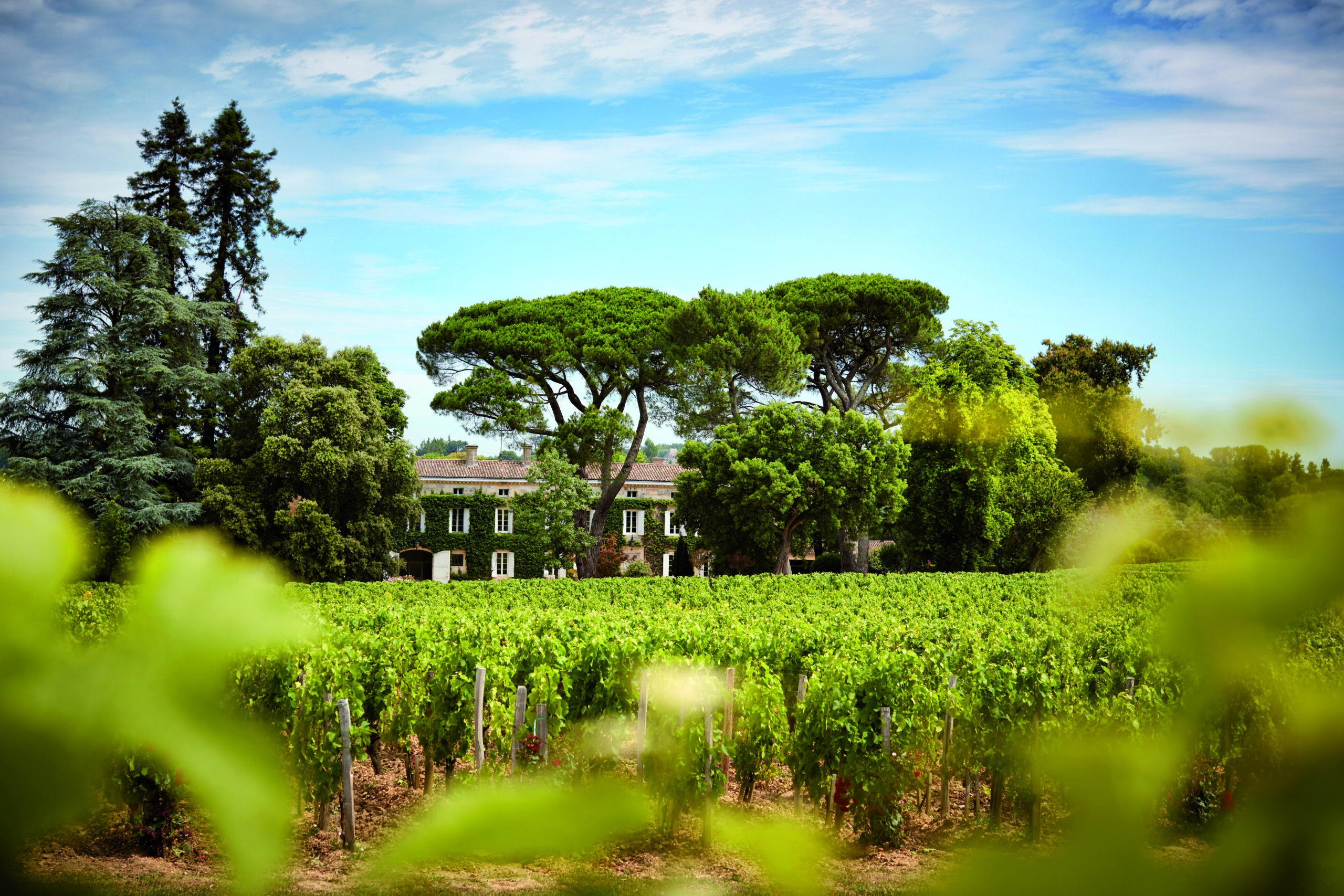 Château Rouget