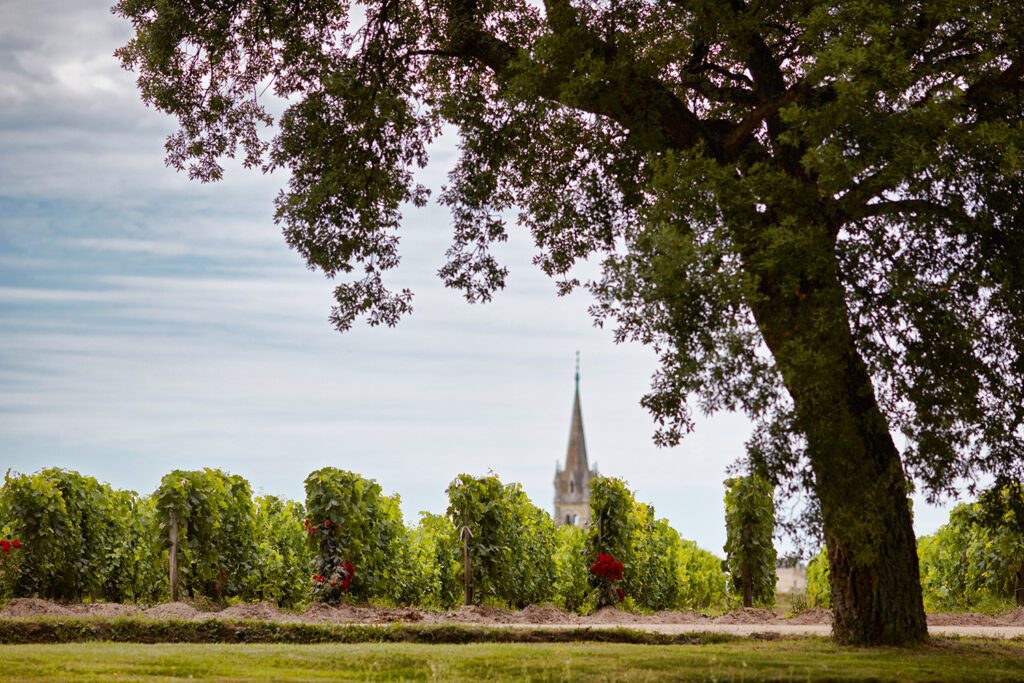 CH_ROUGET_5