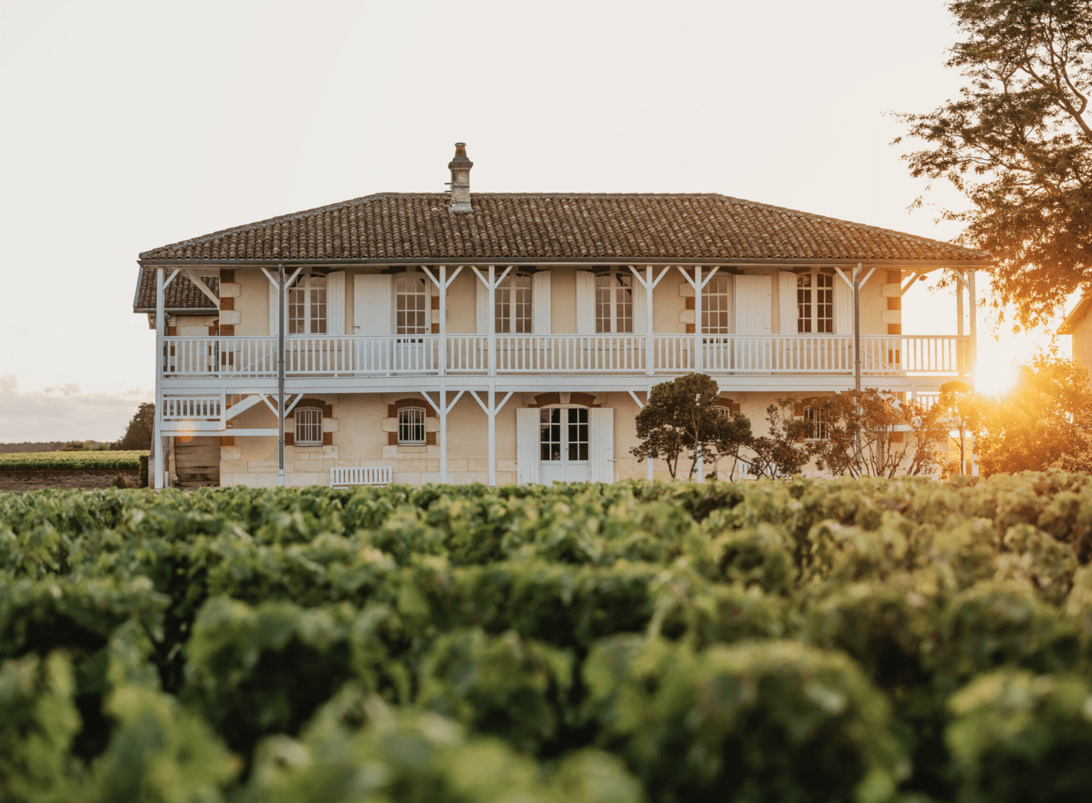 Château Haut-Batailley