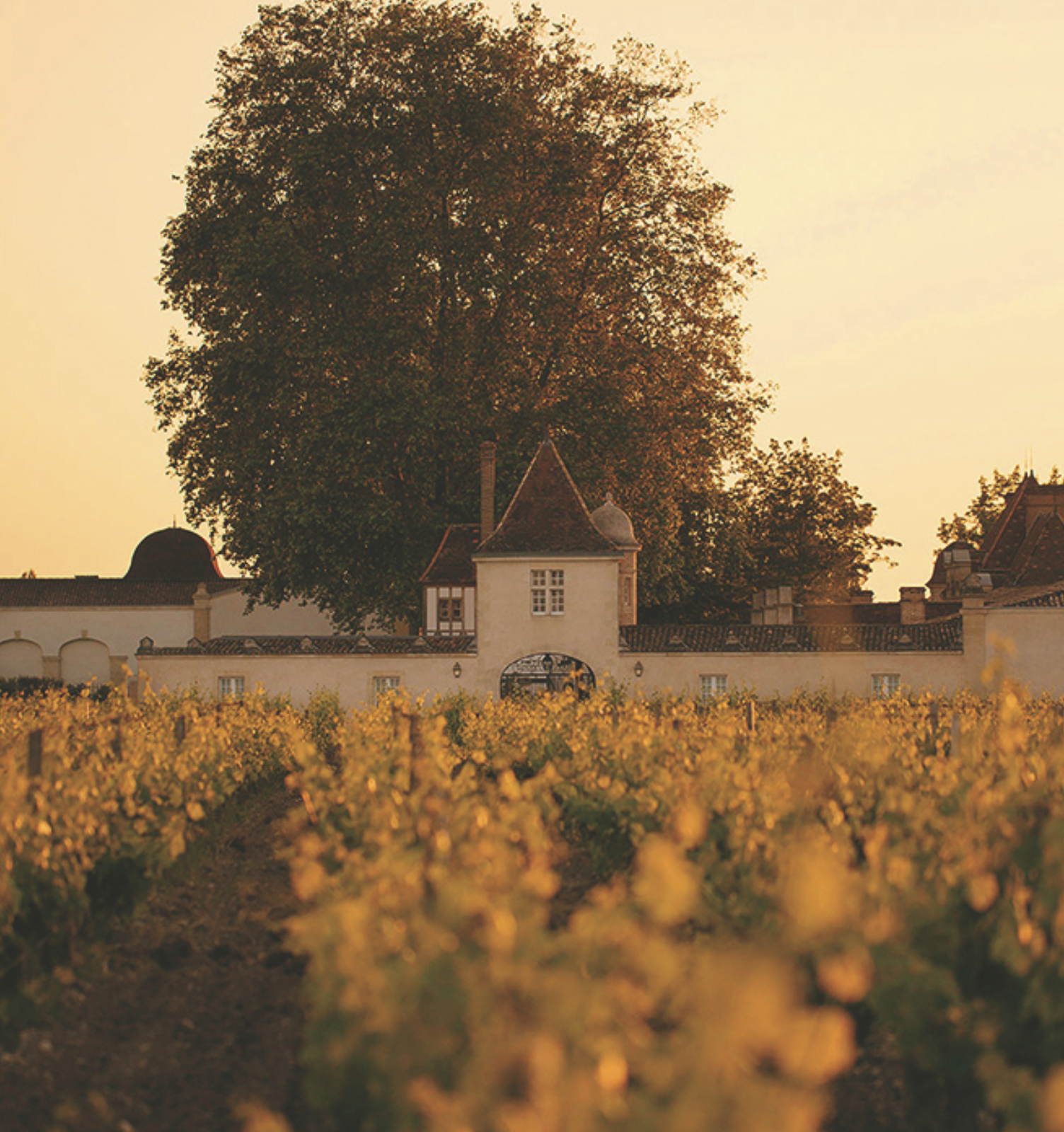 Château Rauzan-Ségla