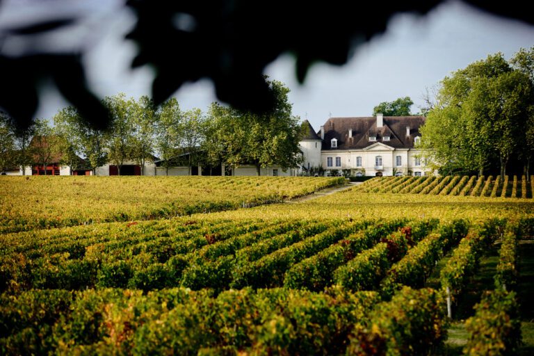 Château BOUSCAUT DEEPIX