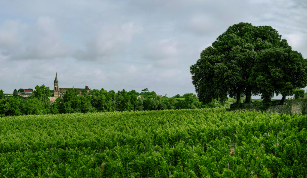 Château Pavie Macquin — 2
