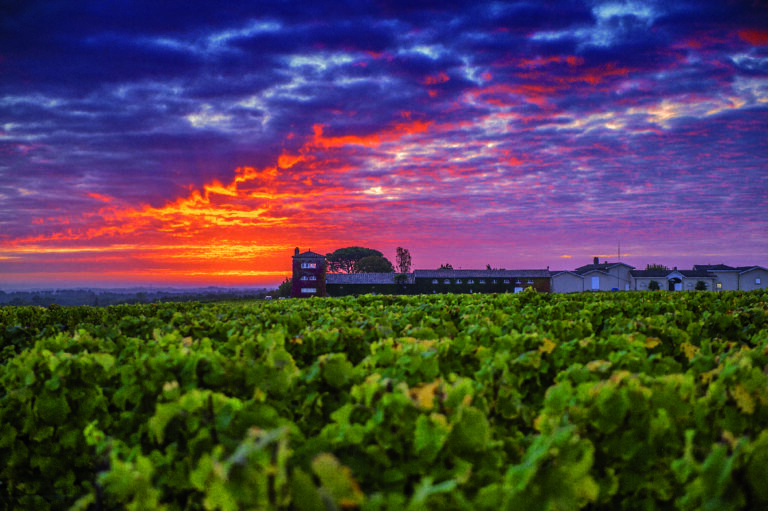 Château Rieussec_01_Copyright François Poincet