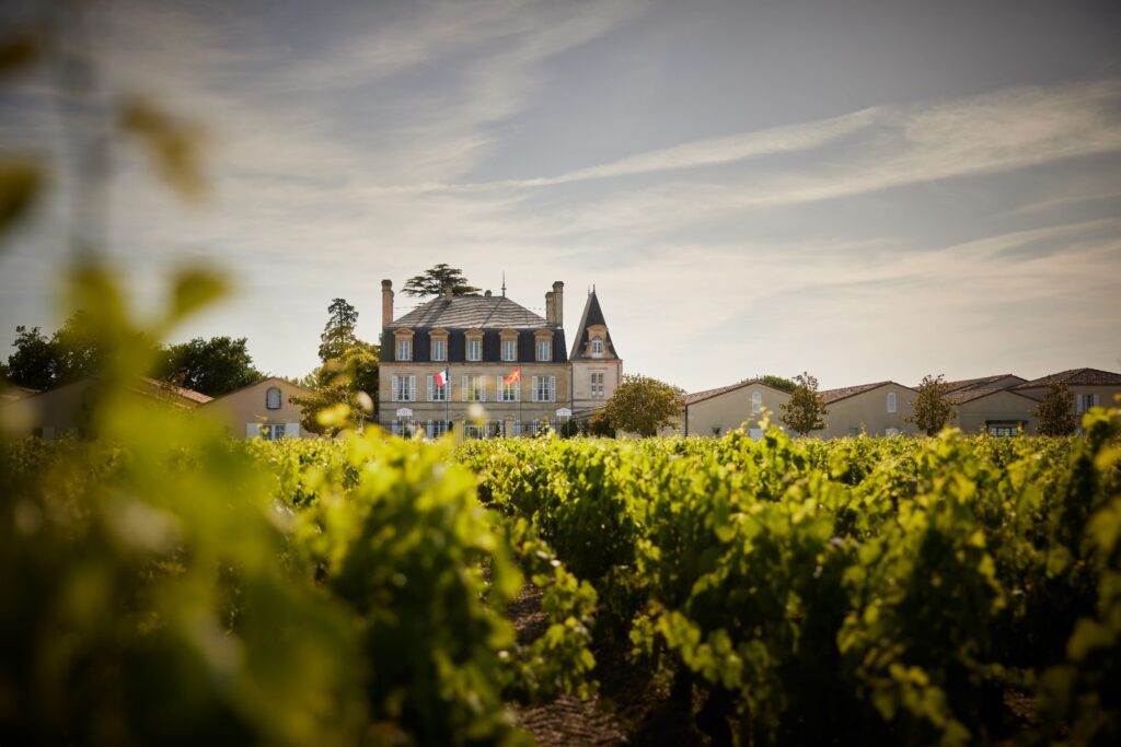 Château Grand - Puy - Lacoste 2025