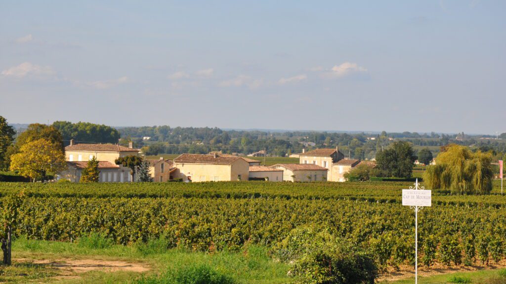 DIAPO3 Château Cap de Mourlin