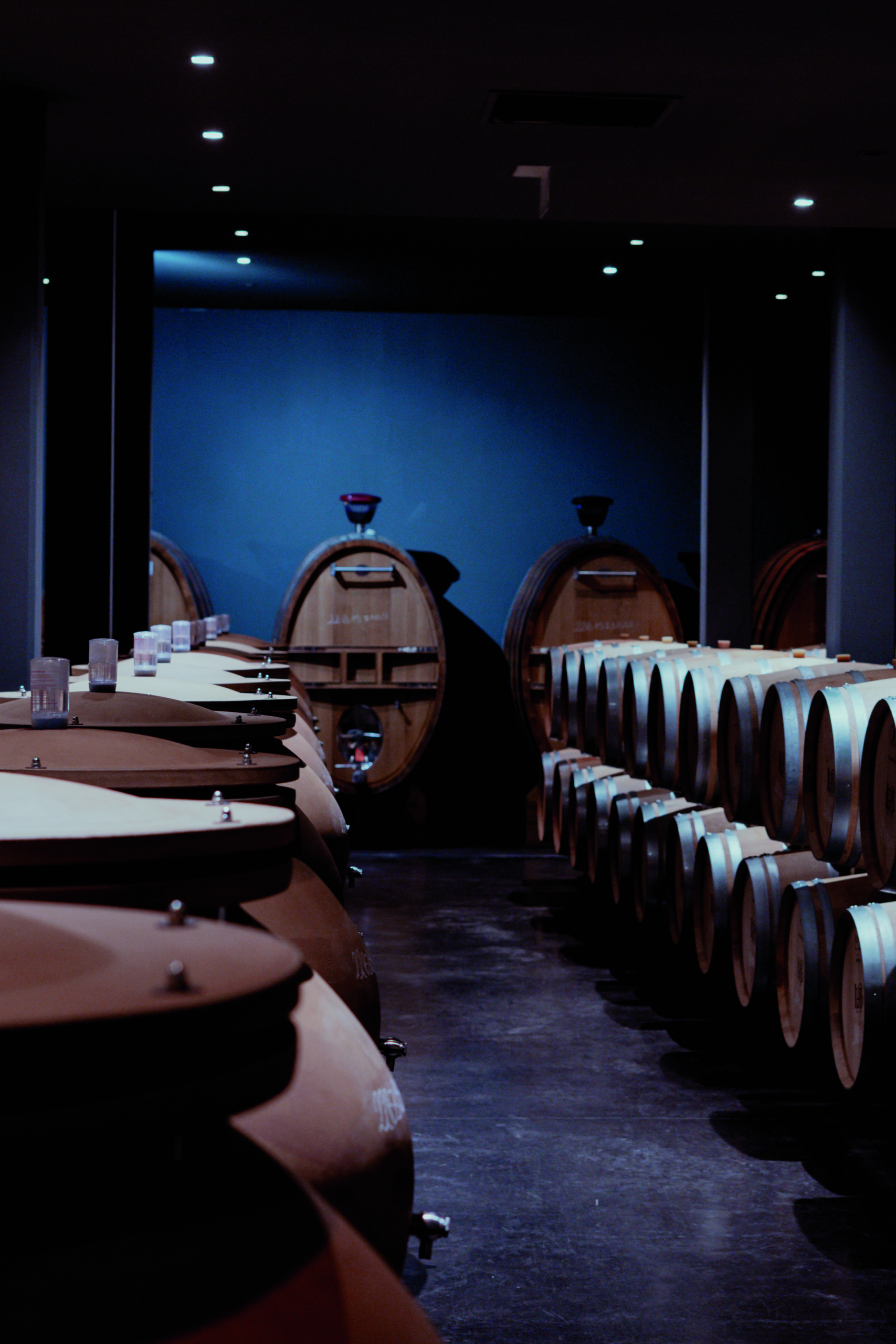 Château Larrivet Haut-Brion