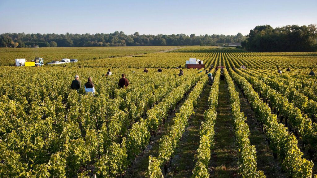 Domaine de Chevalier — 2