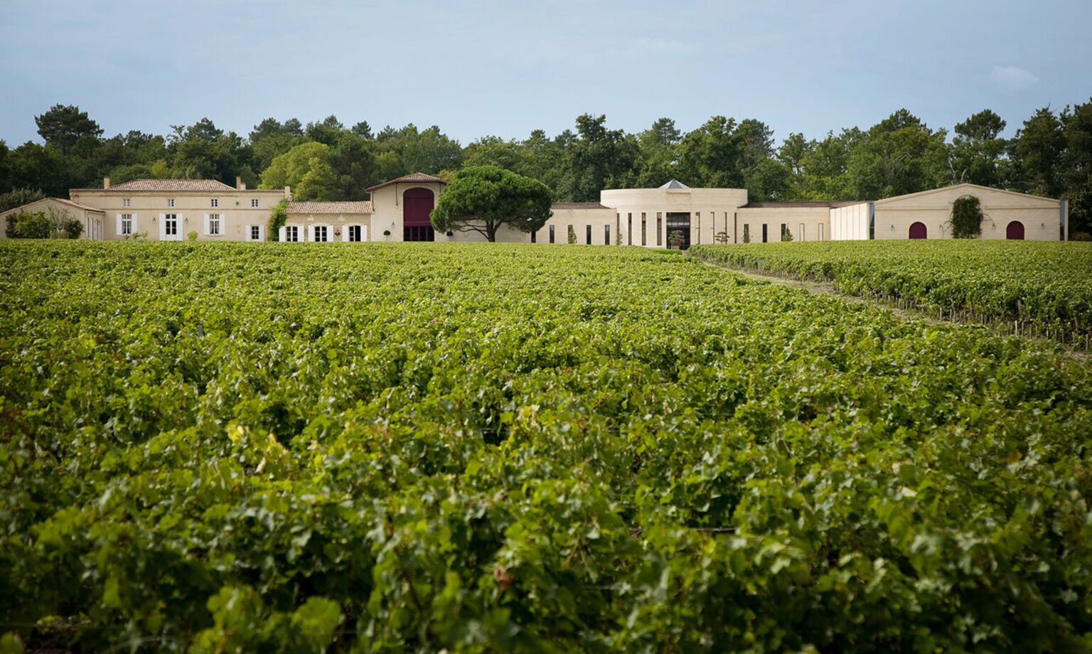 Domaine de Chevalier