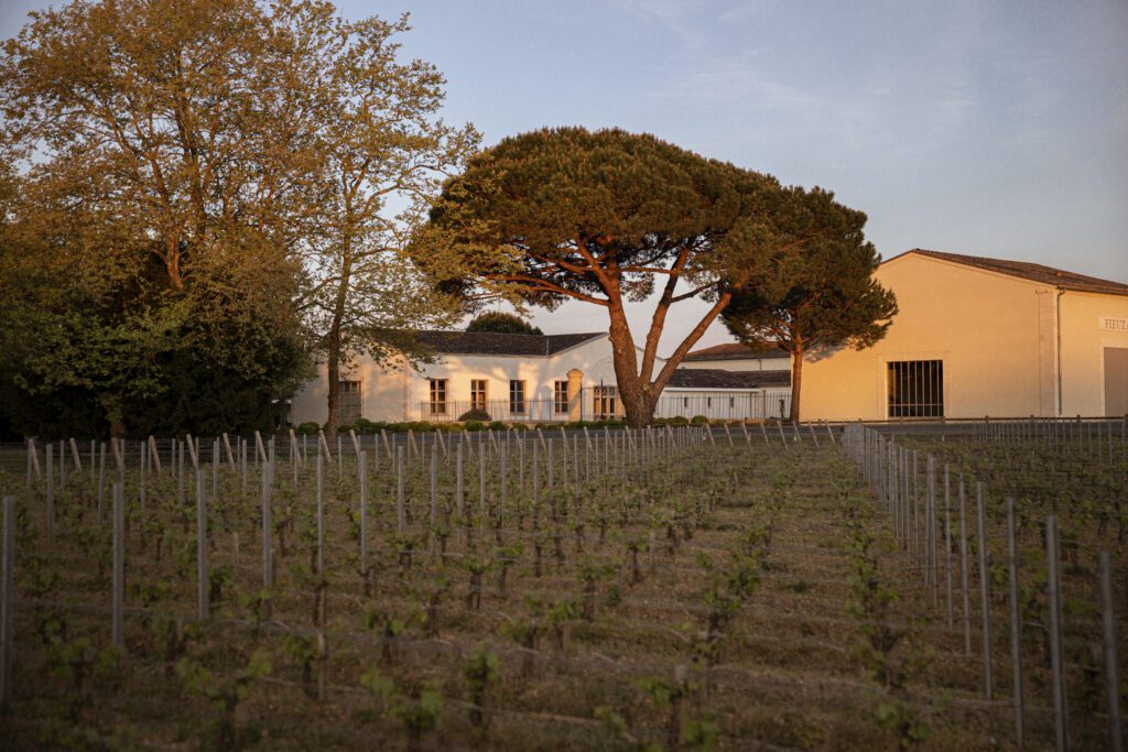 Château de Fieuzal blanc 2025