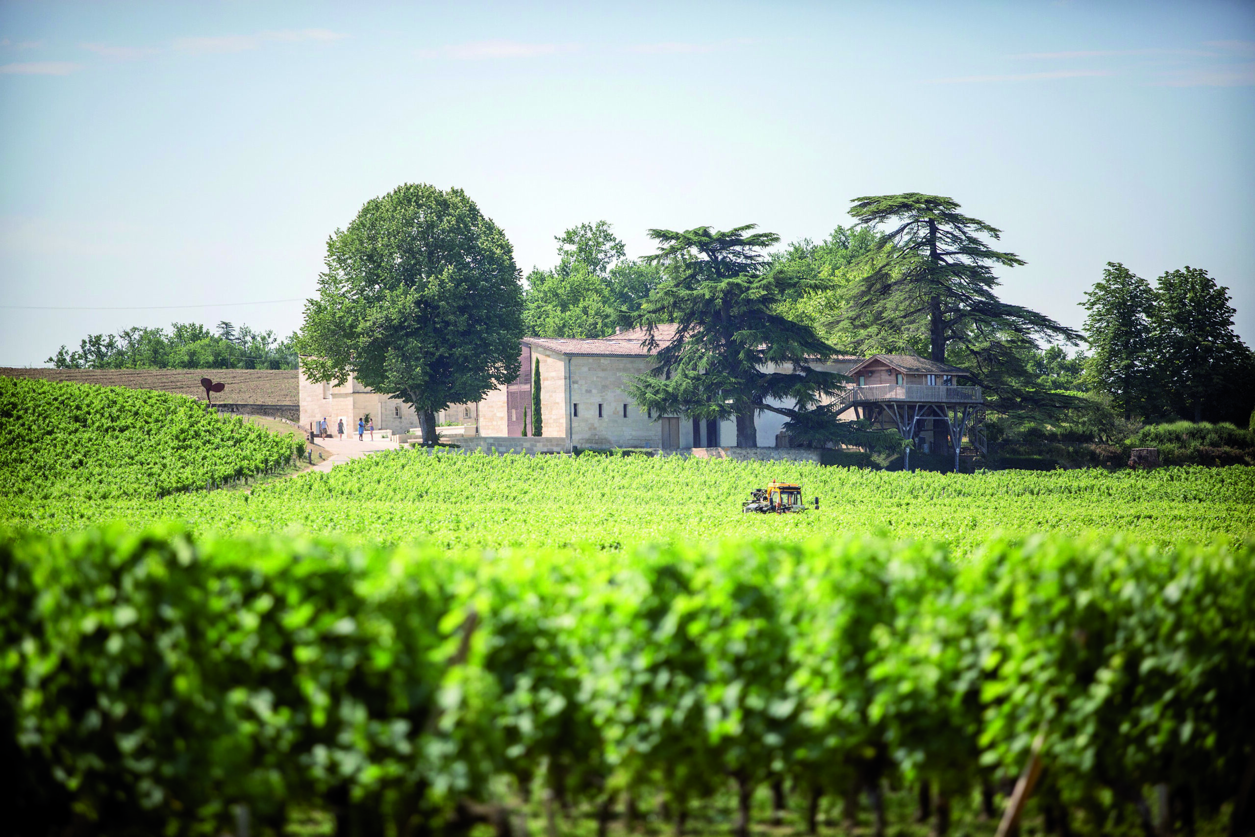Château Franc Mayne