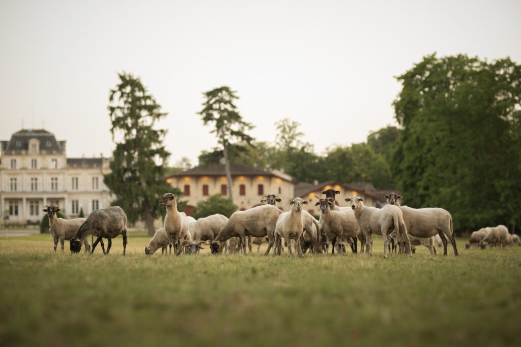 Château Giscours — 1