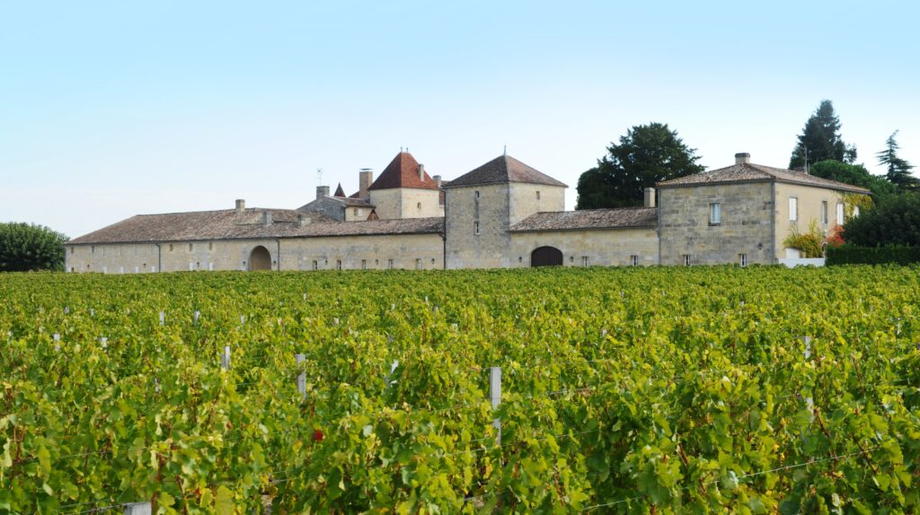 CHATEAU GRAND MAYNE St Emilion