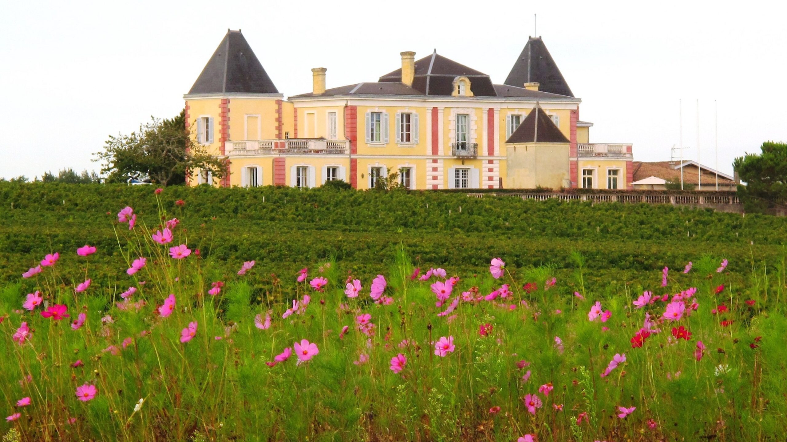Château de France