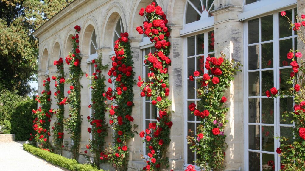 Château Branaire-Ducru