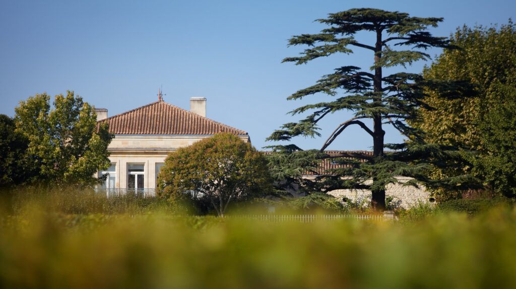 lynchbages_1