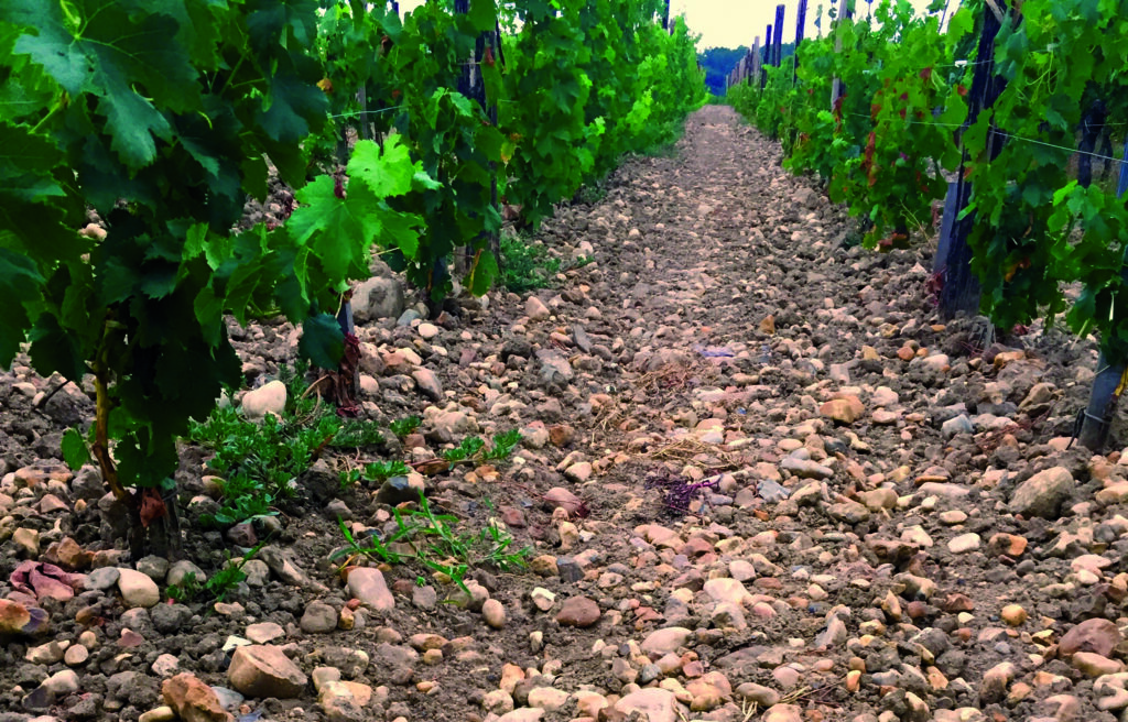 Château Le Bon Pasteur — 2