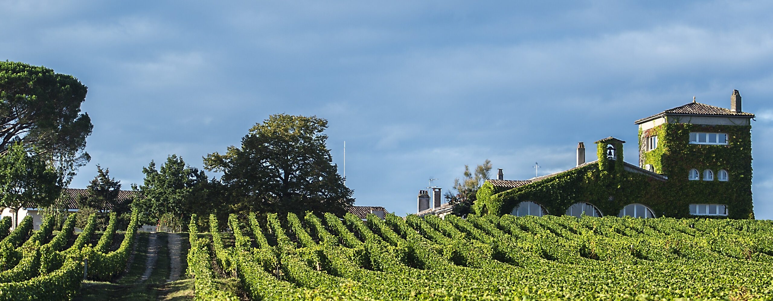 Château Rieussec