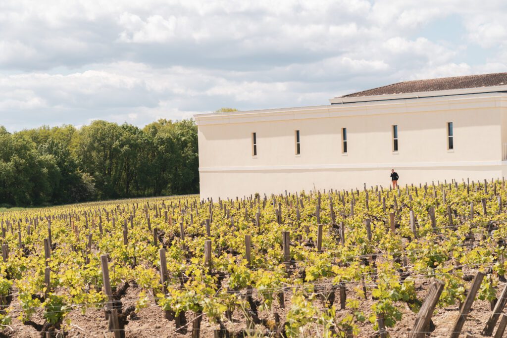 Château Branaire-Ducru — 1