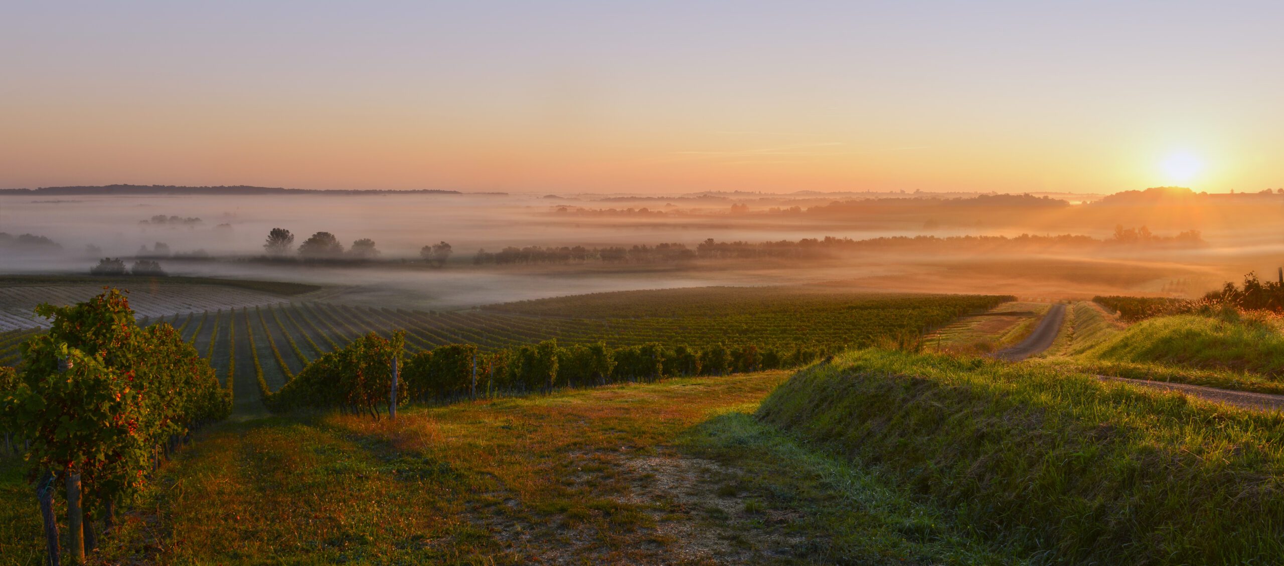 Un terroir aux multiples talents
