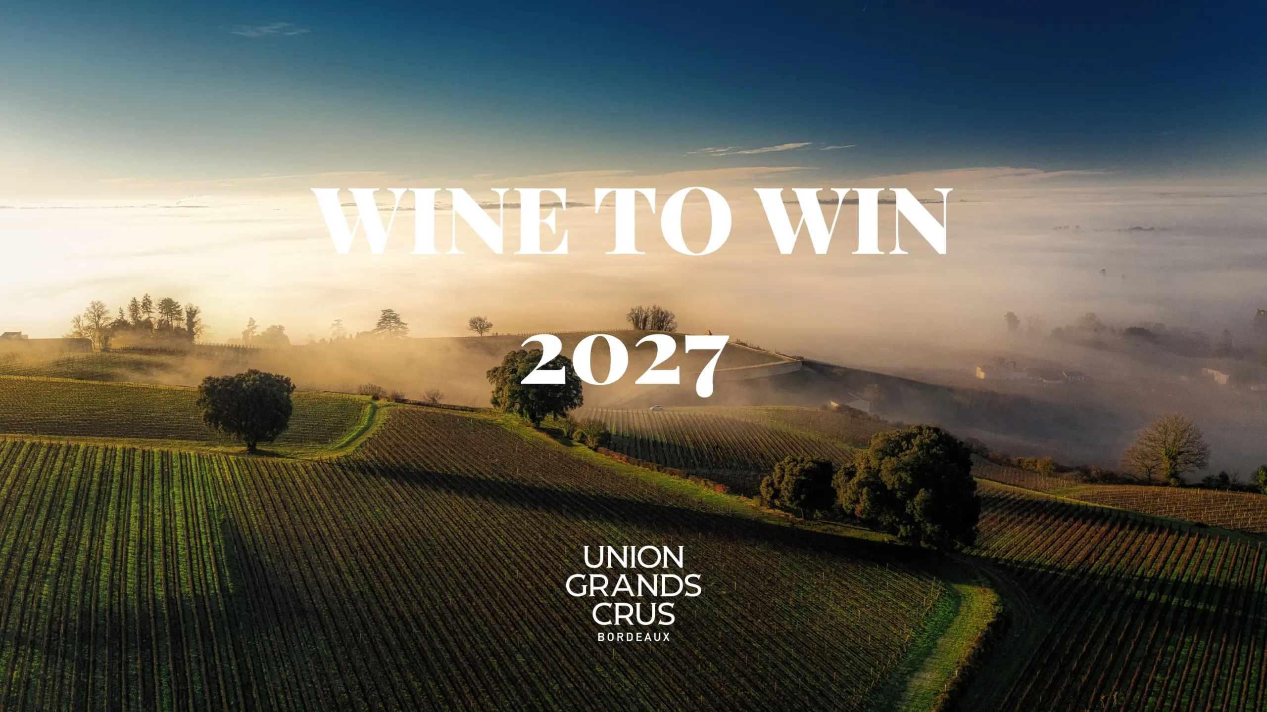CONCOURS WINE TO WIN