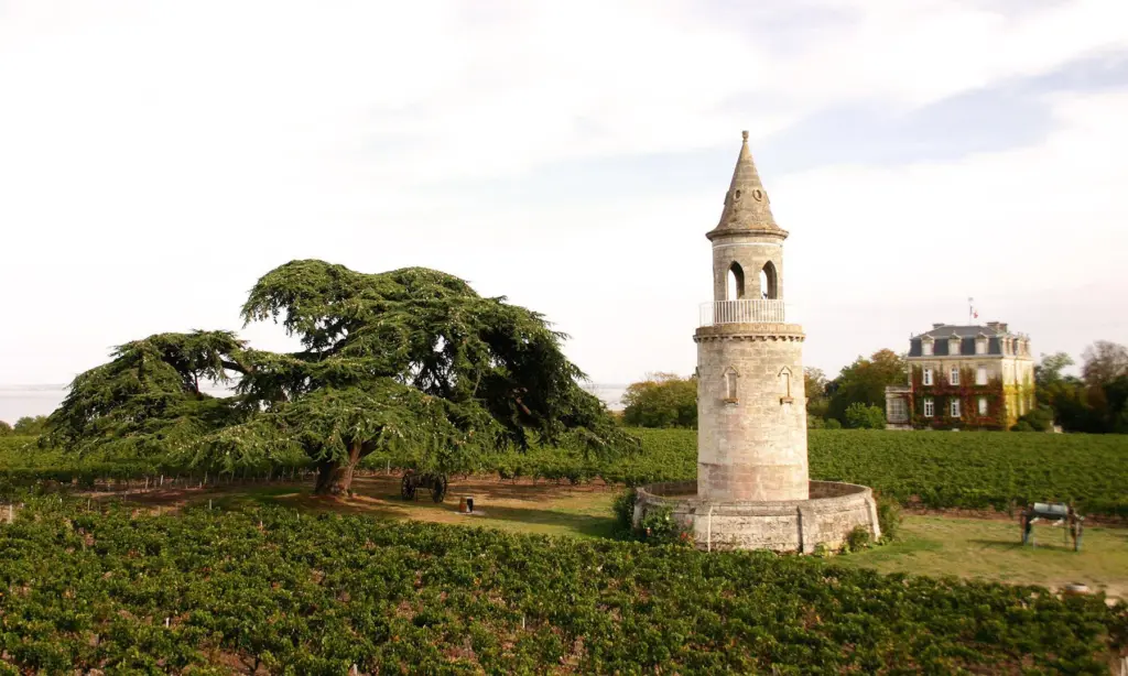 Médoc