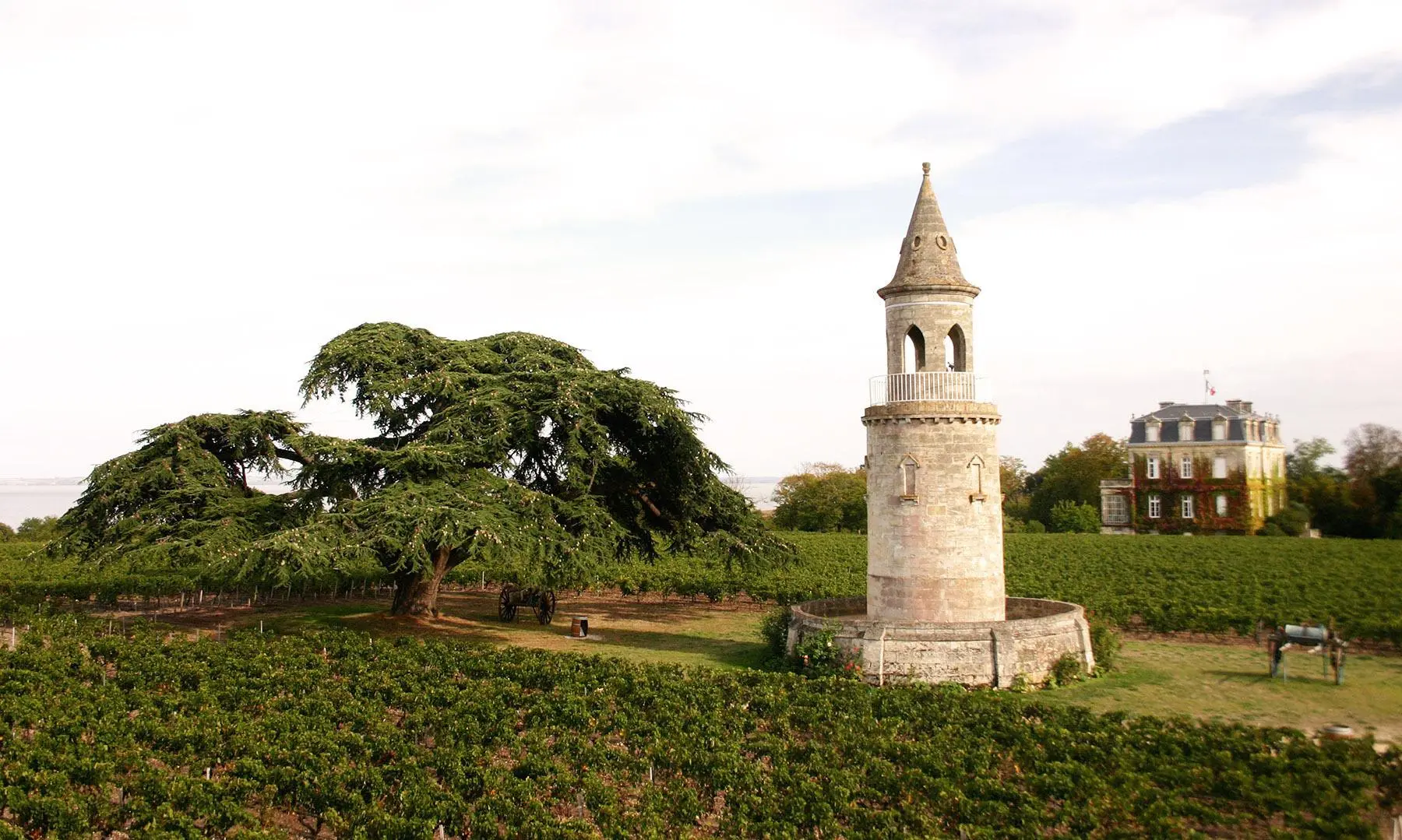 Médoc