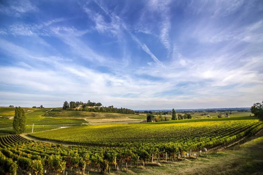 Saint-Émilion Grand Cru