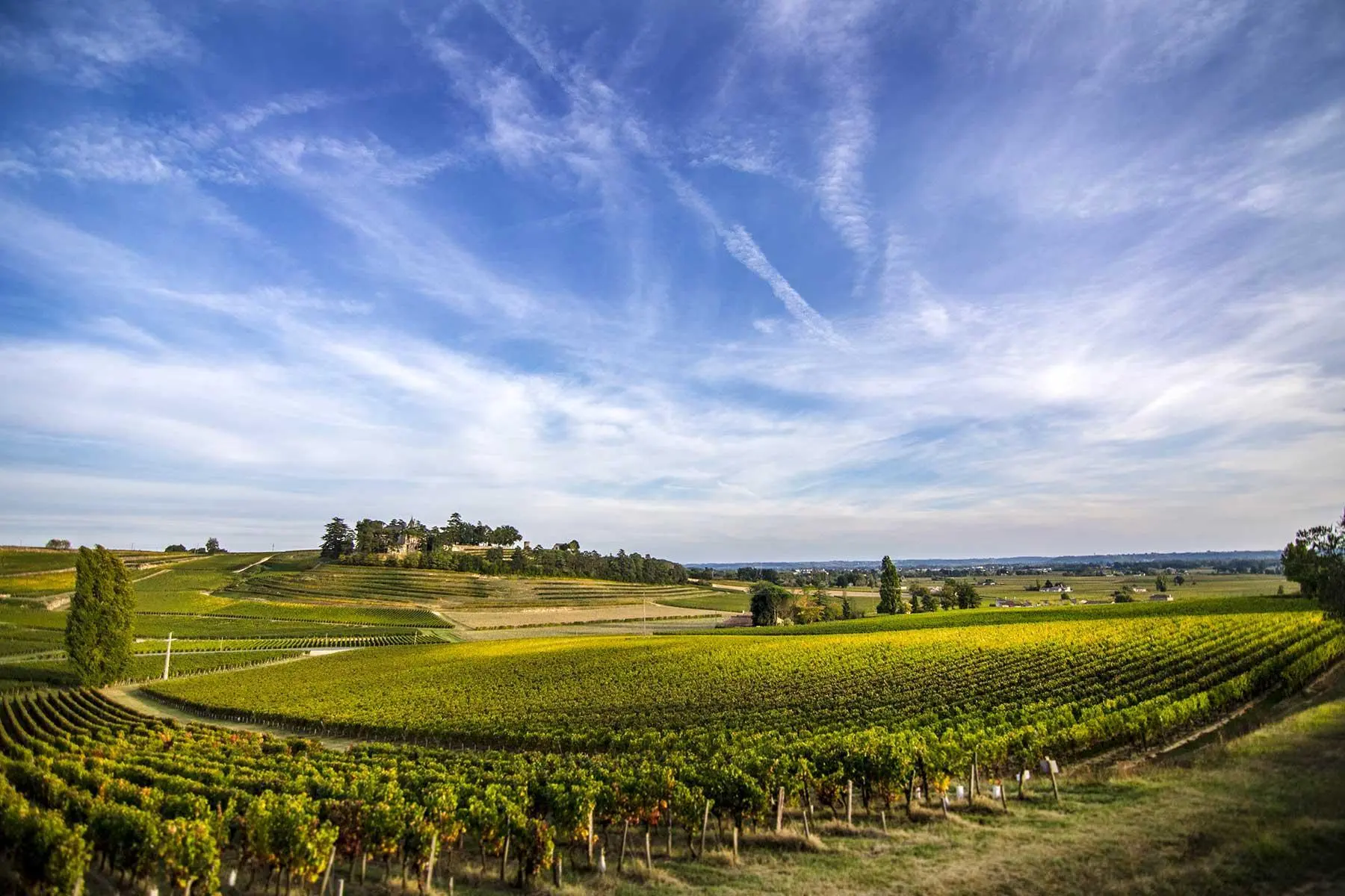Saint-Émilion Grand Cru