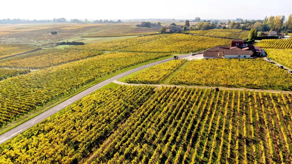 Pauillac