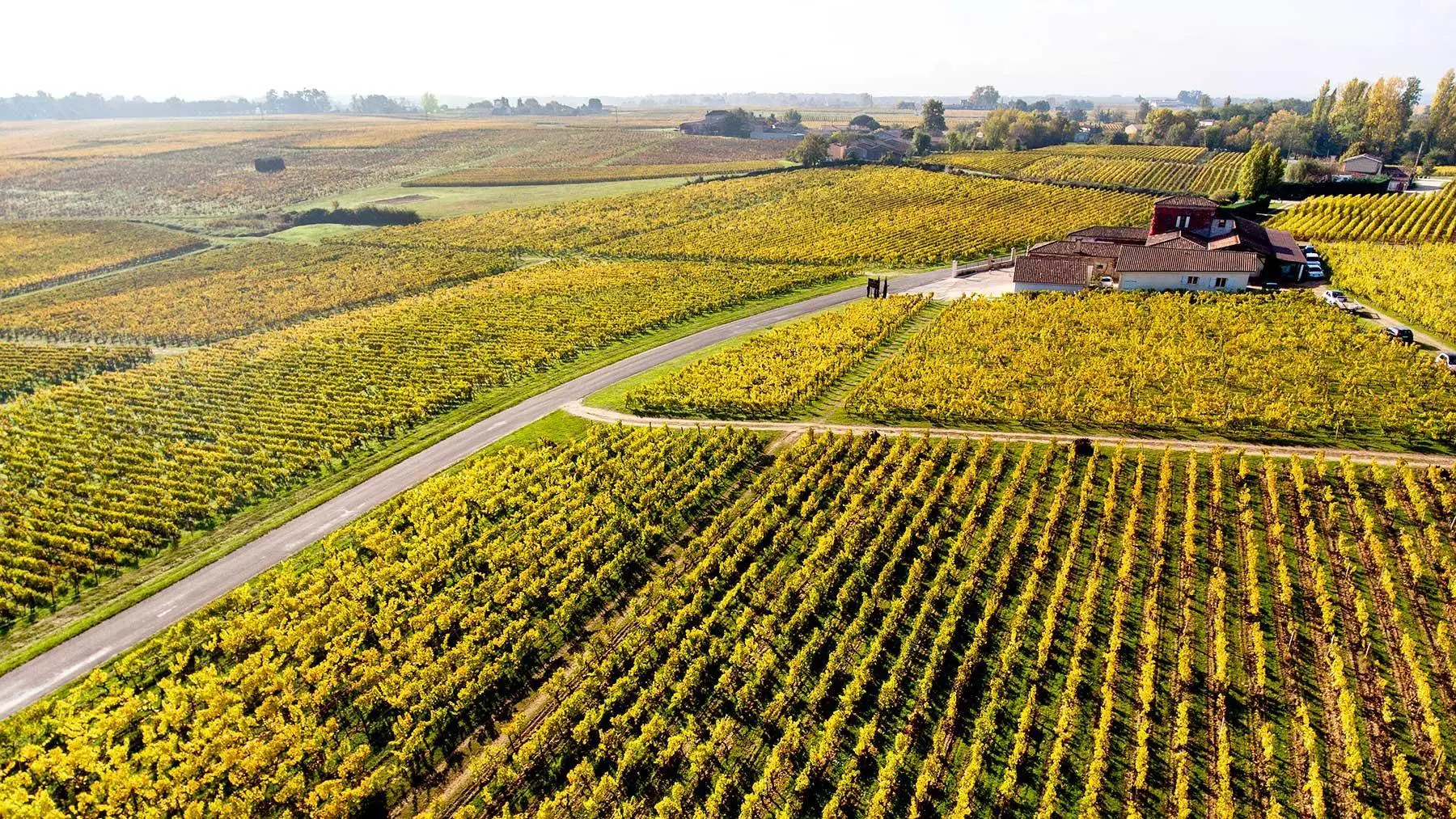 Pauillac