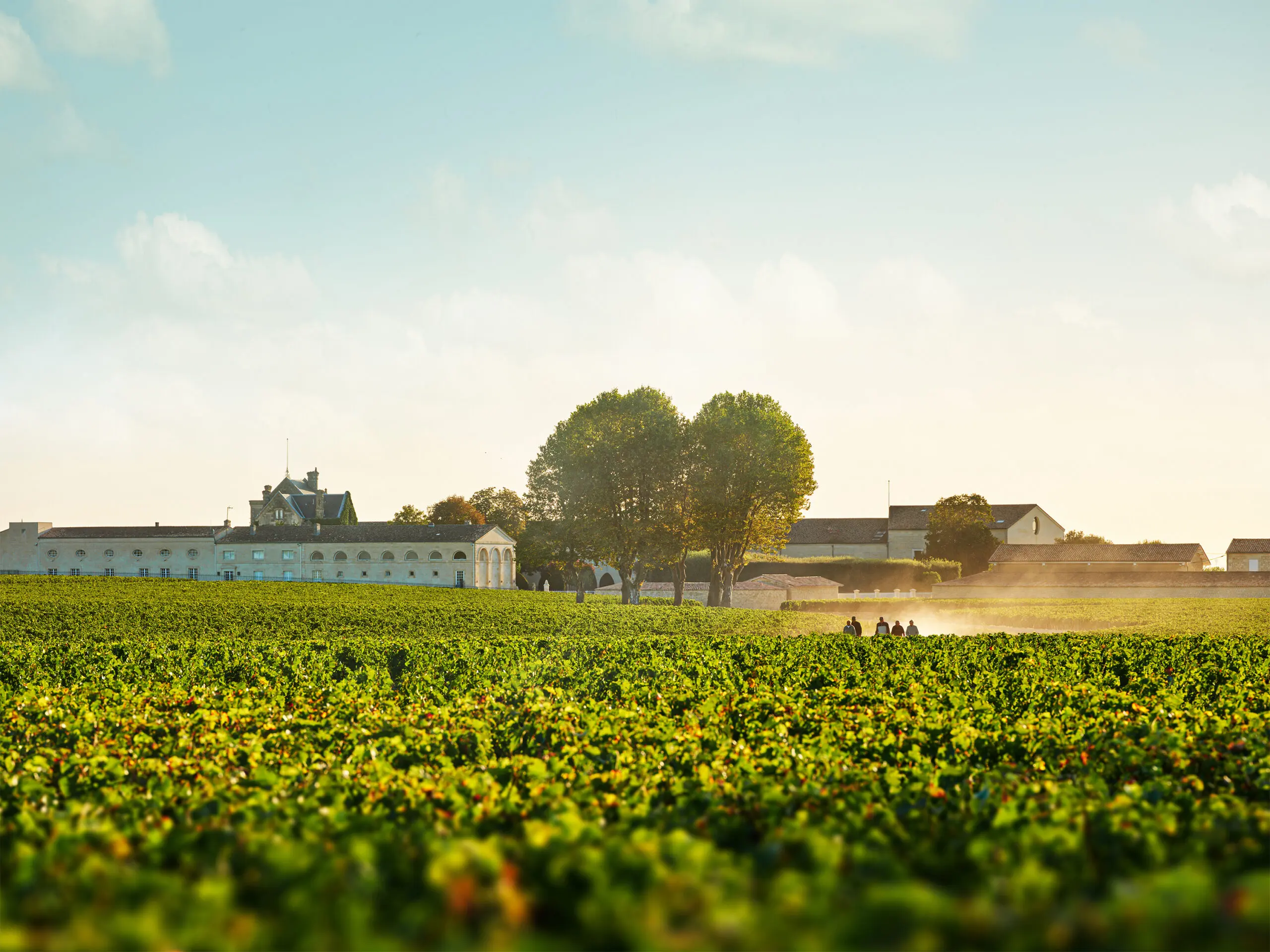Château Mouton Rothschild