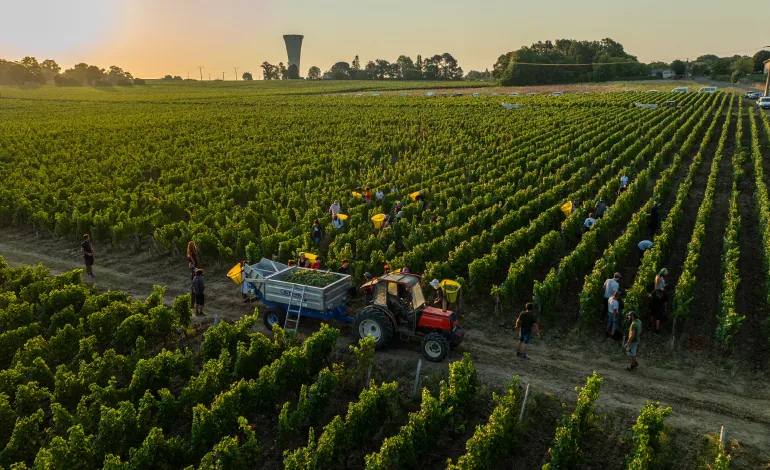 Bordeaux 2026 : les premiers chapitres d’un nouveau Millésime