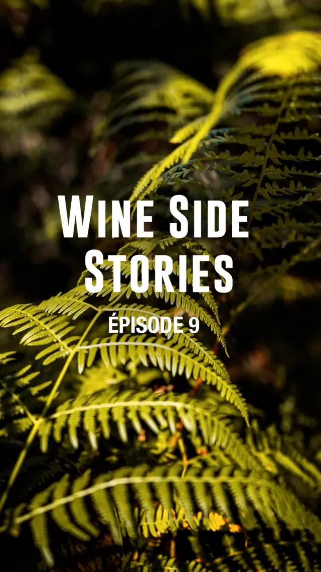 🌿✨ Épisode 9 - Le jardin des arômes : Grand Cru et Herboristerie 

Et si le vin et les plantes sauvages vous racontaient l’histoire d’un terroir vivant ? 

Au @chateau_cantemerle, Laure Canu, Directrice Générale et Babette Poncet, Herboriste @de_seve_et_d_embruns, explorent un écosystème où forêt, vigne et biodiversité s’entrelacent. Entre sous-bois, allées du parc et potager, elles récoltent plantes aromatiques, fleurs comestibles et herbes sauvages. 

🍷 Un Château en dialogue avec le vivant 

🌱 Une cuisine inspirée par la nature 

🍽️ Une dégustation finale qui transcende l’accord mets-vin 

Plus qu’une vidéo, une vraie expérience ! 

 🎥 @ondrae.agence 
@hubertdecastelbajac 

#WineSideStories #GrandsCrusdeBordeaux #ChâteauCantemerle #Médoc #Herboristerie #Terroir #Cuisine
