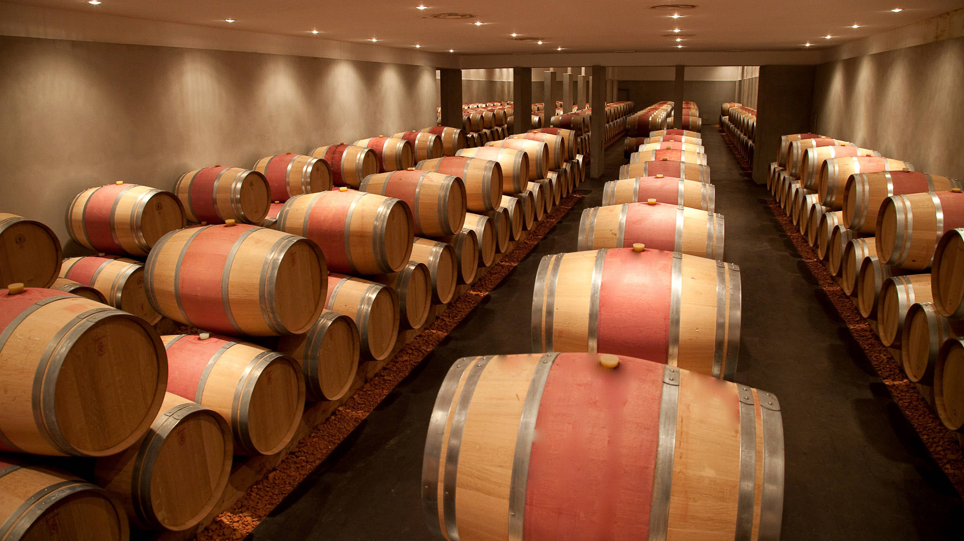 Château Grand-Puy Ducasse | Union des Grands Crus de Bordeaux