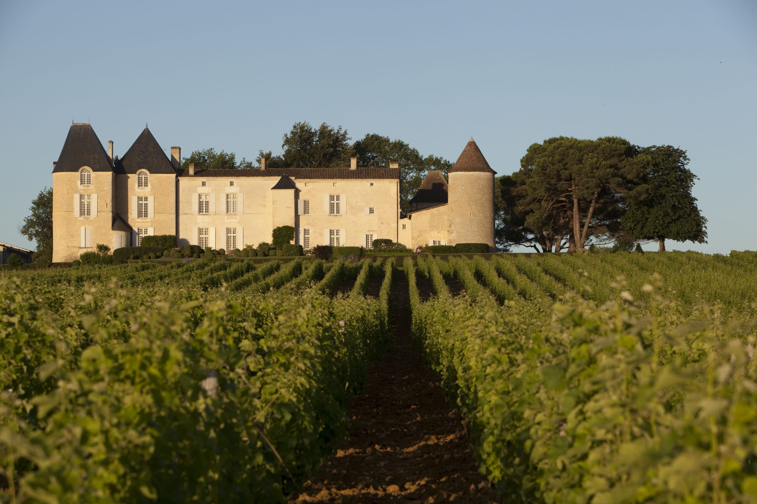 Château d’Yquem