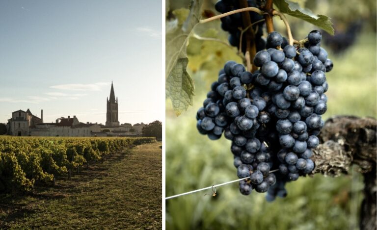 La brillante carrière de Clos Fourtet