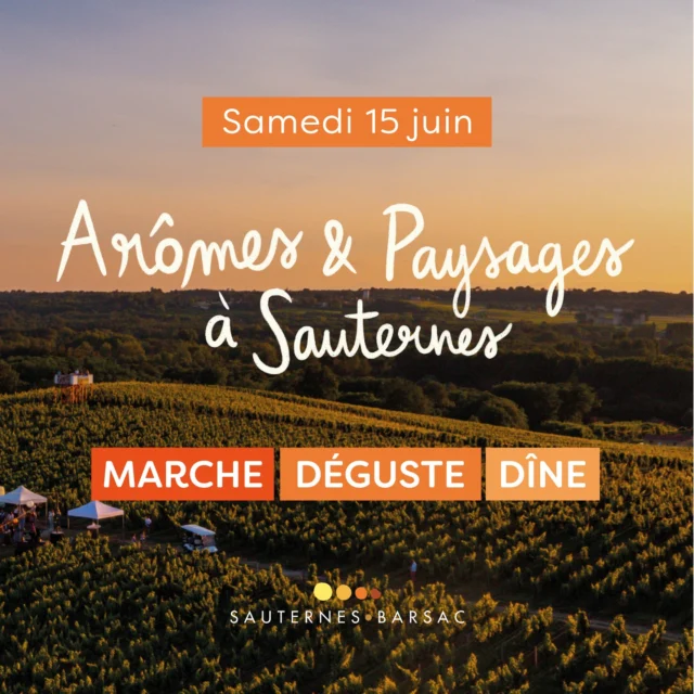 SAVE THE DATE 🍇

Nos amis de Sauternes & Barsac sont fiers de présenter une expérience extraORdinaire, « Arômes et Paysages | Marche, Déguste, Dîne » organisée le samedi 15 juin prochain.

Cette expérience inédite en Gironde offre au public l’opportunité rare d’explorer les merveilles du vignoble de Sauternes en dégustant un repas gastronomique dans un décor naturel spectaculaire. Les participants se baladeront à travers le vignoble en faisant des arrêts dans des lieux remarquables pour savourer un dîner complet : mise en bouché, entrée, plat, fromage & dessert, tout en savourant une sélection minutieuse de vins de l’appelation. 

Plus d’informations sur @sauternes_barsac