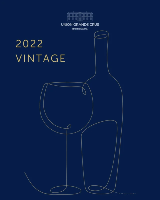 🍷🌍 Tournée Europe 2025 

L'Union des Grands Crus part en tournée en Europe pour vous faire déguster et découvrir le Millésime 2022.

3 mars - Amsterdam ( @debruijninwijnen1772 & @wijnkoperijokhuysen )

4 mars - Anvers et Bruxelles 

17 mars - Prowein à Düsseldorf 

#GrandsCrusdeBordeaux #Millésime2022 #uniondesgrandscrusdebordeaux