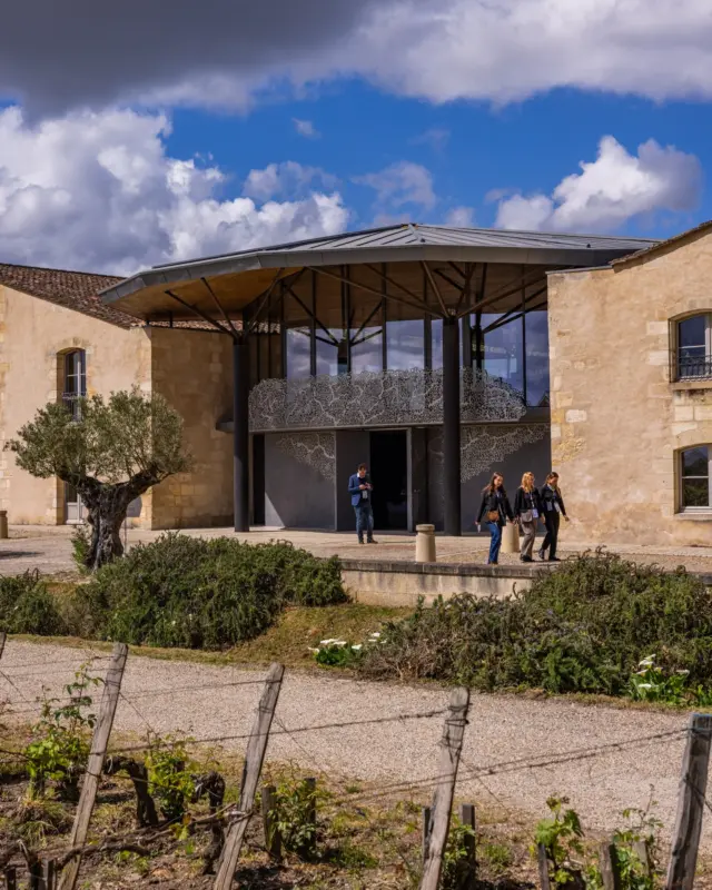 📸 Retour en Images 
🍷 Deuxième journée de la Semaine des Primeurs 
Aujourd'hui, nous avons eu le plaisir de visiter trois Châteaux emblématiques du Médoc :
@chateaukirwan 
Margaux, Haut-Médoc Sud
@chateaugrandpuyducasse 
Pauillac, Saint-Estèphe, Haut-Médoc Nord et Médoc
@chateautalbot 
Saint-Julien, Listrac-Médoc et Moulis-en-Médoc
Merci aux Châteaux Hôtes pour leur accueil chaleureux !
Photos: @hubertdecastelbajac et UGCB
#SemaineDesPrimeurs #Millésime2024 #GrandscrusdeBordeaux