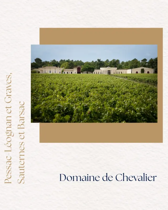 🍷 La Semaine des Primeurs 2026 - Présentation du Millésime 2025 !

Du 20 au 23 avril 2026, vivez une immersion unique au cœur des Grands Crus de Bordeaux !

6 Châteaux recevront journalistes et professionnels de la filière pour des dégustations par appellations.

L'occasion de découvrir le Millésime 2025 au coeur du Vignoble de Bordeaux ! 

Olivier Bernard, Propriétaire du @domainedechevalier nous partage un mot sur le Millésime 2025. 

"Un des « BIG 5 » des 100 dernières années… 
2025, 2015, 2005, 1995, 1985, 1975, 1955, 1945… "

#SemaineDesPrimeurs #EnPrimeurWeek #Millésime2025 #GrandsCrusDeBordeaux #Bordeaux #DomainedeChevalier #FamilleBernard