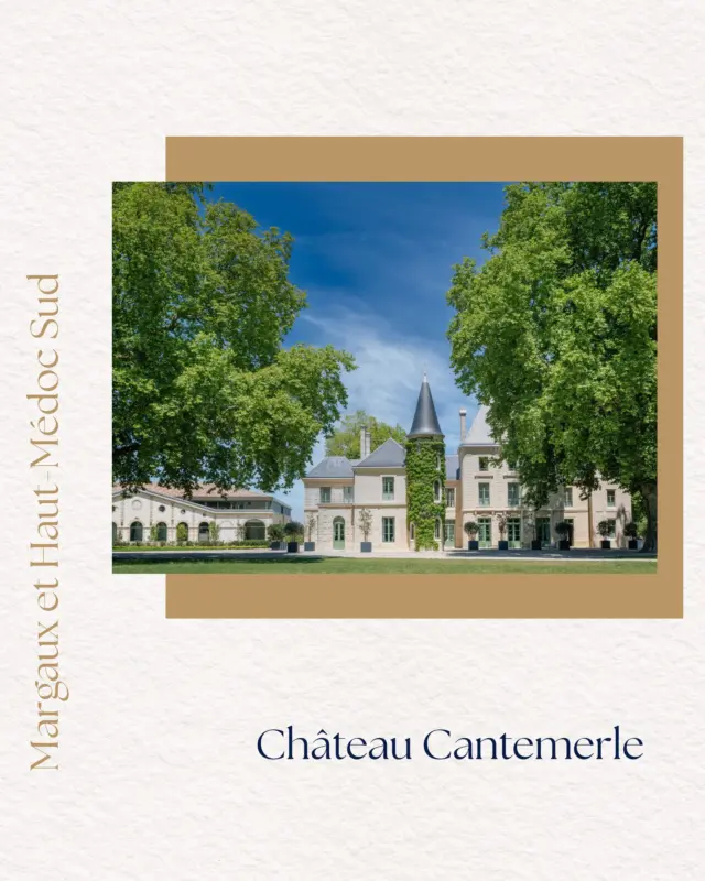🍷 Semaine des Primeurs 2026 

Du 20 au 23 avril 2026, plongez au cœur des Grands Crus de Bordeaux pour venir découvrir le Millésime 2025 "En Primeurs".

Six Châteaux hôtes, dont le @chateau_cantemerle recevront les journalistes et professionnels de la filière, pour des dégustations par appellation.

 Le Mot sur le Millésime 2025 :

"2025 a été marqué par un état sanitaire exceptionnel des raisins, avec des baies très concentrées. Cette richesse naturelle a donné naissance à des vins intenses, précis et équilibrés, portés par une texture remarquable. Grâce à un travail au chai tout en nuance, Château Cantemerle 2025 révèle pleinement la qualité du fruit et le potentiel du terroir".

Un anecdote racontée par le Château : 

"En 2025, nous avons vinifié pour la première fois dans notre nouveau cuvier, après trois années de travaux. Un moment fort et symbolique, aboutissement d’un projet collectif mené avec engagement et fierté. Un nouvel habillage vient mettre en lumière cette étape clef ".

#SemaineDesPrimeurs #EnPrimeurWeek #Millésime2025 #GrandsCrusDeBordeaux 
#Bordeaux #chateaucantemerle
