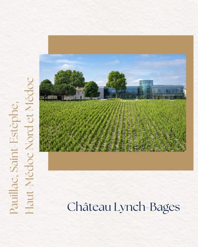 🍷 Semaine des Primeurs 2026 

Du 20 au 23 avril 2026, le @chateaulynchbages, ainsi que 5 autres Châteaux hôtes recevront les journalistes et professionnels de la filière pour des dégustations par appellation, afin de découvrir le Millésime 2025 "En Primeurs".

Découvrez le Mot sur le Millésime 2025 ainsi qu'une anecdote, racontés par le Château ! 

Un Mot sur le Millésime 2025 : 

"Le millésime 2025 s’est développé sous l’influence d’un climat globalement doux et sec, installé de manière régulière tout au long du cycle végétatif. Ces conditions ont favorisé une dynamique précoce et continue de la vigne. Les équilibres se sont établis avec netteté, donnant des vins précis et équilibrés, laissant entrevoir la promesse d’un grand millésime".

Une anecdote racontée par le Château 

"L’année 2025 a été marquée par le 150ᵉ  anniversaire de l’arrivée de la Famille Cazes dans le Médoc. À la fin du XIXᵉ siècle, les « Montagnols », véritables rois de la pioche, sont descendus des montagnes pour replanter le vignoble médocain, alors décimé par le phylloxera. Parmi eux figure Jean Cazes, arrière-grand-père de Jean-Michel Cazes. Surnommé « Lou Janou » dans le patois de son enfance, il s’installe à Pauillac en 1875, marquant le point de départ de l’aventure de la famille dans le Médoc".

#SemaineDesPrimeurs #EnPrimeurWeek #Millésime2025 
#GrandsCrusDeBordeaux #Bordeaux #ChâteauLynchBages