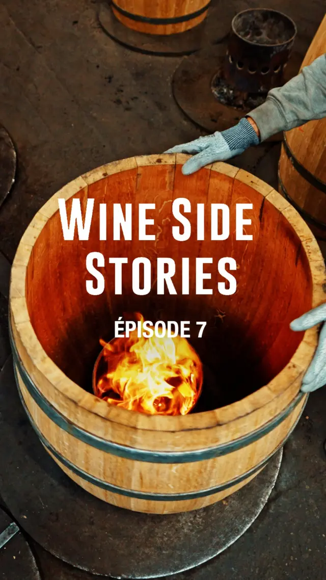 🍷✨ Épisode 7 : Quand le chêne rencontre un Grand Cru de Bordeaux

Une barrique ne se contente pas d’abriter le vin : elle le métamorphose. A la @tonnelleriedemptos, Dominique Gornès travaille le bois avec passion, transformant chaque planche en un écrin capable de sublimer les arômes et les textures, les plus subtiles. 

Au Château @fourcasdupre, Lucas Leclercq nous confie sa vision : la recherche d’un équilibre parfait entre le fruit et le chêne, là où chaque barrique devient le complice d’un vin d’exception. 

Dans ce 7ème épisode #WineSideStories, plongez au cœur d’un dialogue unique entre savoir-faire artisanaux et passion vigneronne. 

Parce qu’un Grand Cru de Bordeaux, c’est avant tout une histoire d’Hommes, de savoir-faire et de passion ! 

#WineSideStories #TonnellerieDemptos #ChateauFourcasDupre #GrandsCrusdeBordeaux #Artisan